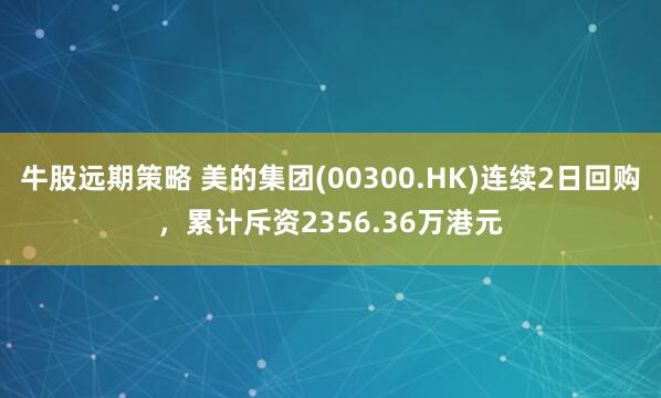 牛股远期策略 美的集团(00300.HK)连续2日回购,累计斥资2356.36万港元
